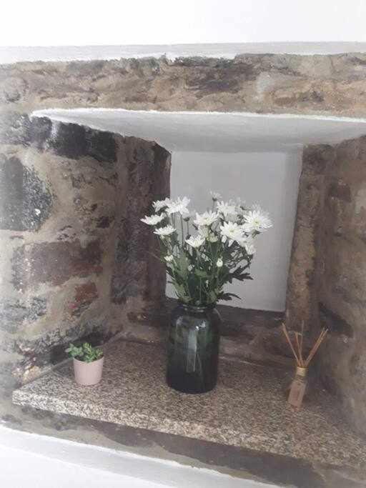 A Toca Do Cuco Na Vila Da Sertã エクステリア 写真